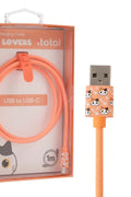 CABLE USB CHAT ORANGE