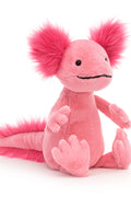 ALICE AXOLOTL ASSO