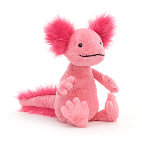 ALICE AXOLOTL ASSO