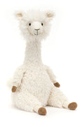 ALONSO ALPACA ASSO