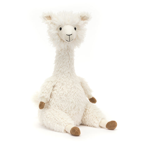 ALONSO ALPACA ASSO