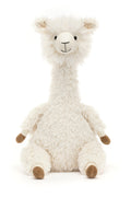 ALONSO ALPACA ASSO