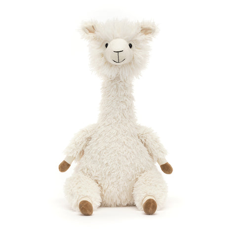 ALONSO ALPACA ASSO