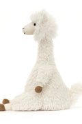 ALONSO ALPACA ASSO