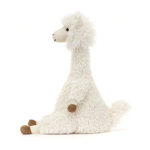 ALONSO ALPACA ASSO