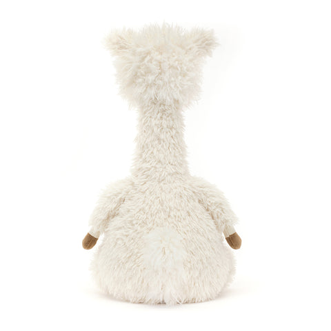 ALONSO ALPACA ASSO