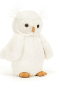 BASHFUL OWL ORIGINAL ASSO