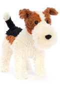 HECTOR FOX TERRIER ASSO