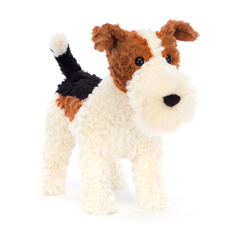 HECTOR FOX TERRIER ASSO