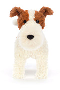 HECTOR FOX TERRIER ASSO