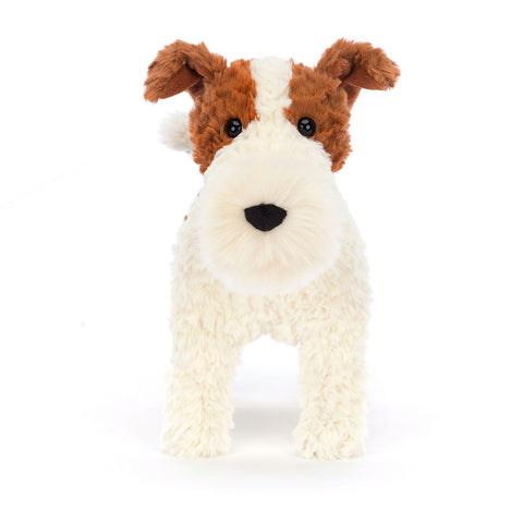 HECTOR FOX TERRIER ASSO