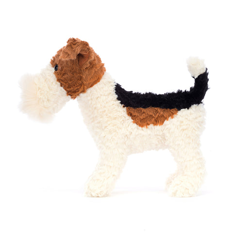 HECTOR FOX TERRIER ASSO