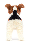 HECTOR FOX TERRIER ASSO