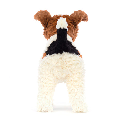 HECTOR FOX TERRIER ASSO