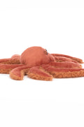 SPINDLESHANKS CRAB ASSO