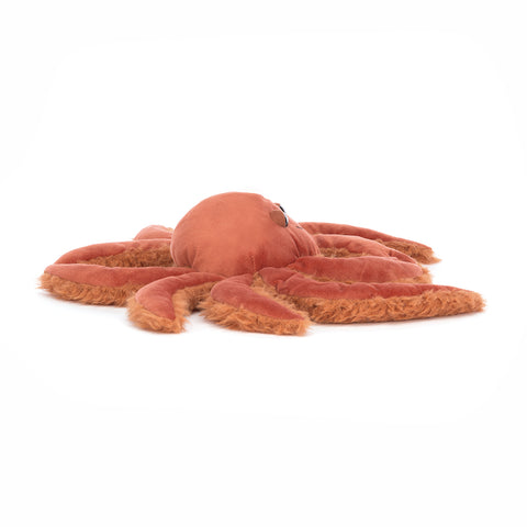 SPINDLESHANKS CRAB ASSO