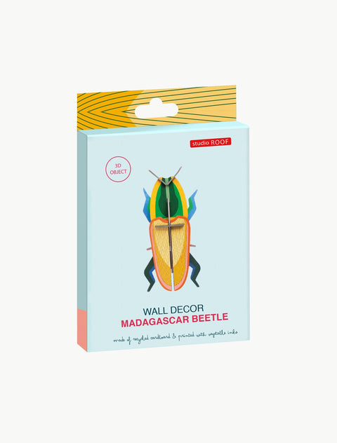 MADAGASCAR BEETLE ASSO