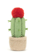 PELUCHE PLANTES EN POT CACTUS LUNE