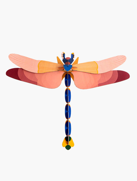 PINK DRAGONFLY ASSO