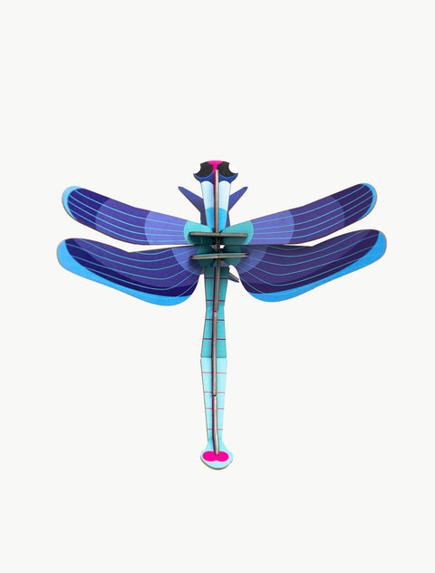 SAPPHIRE DRAGONFLY ASSO